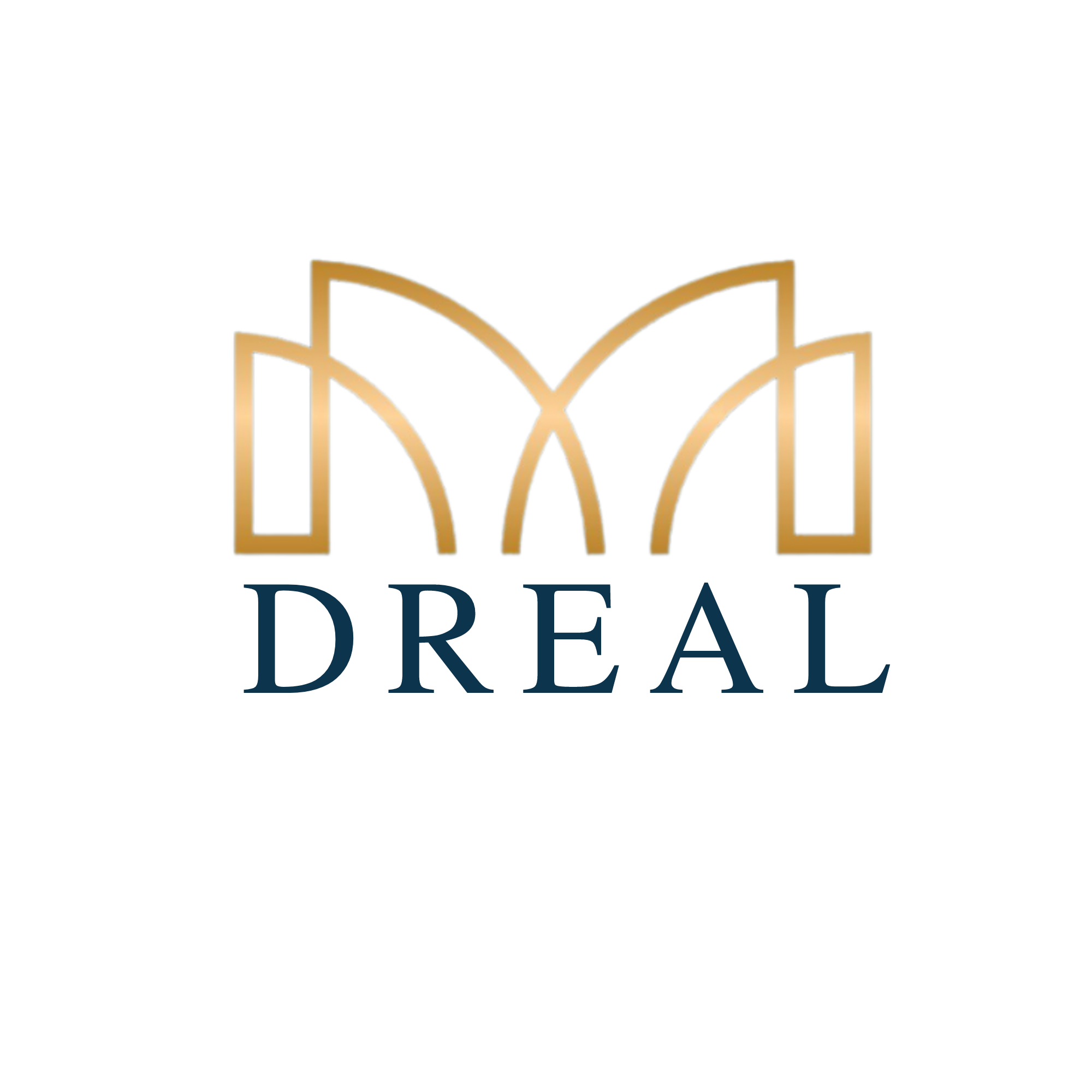 CÔNG TY CỔ PHẦN BẤT ĐỘNG SẢN DREAL